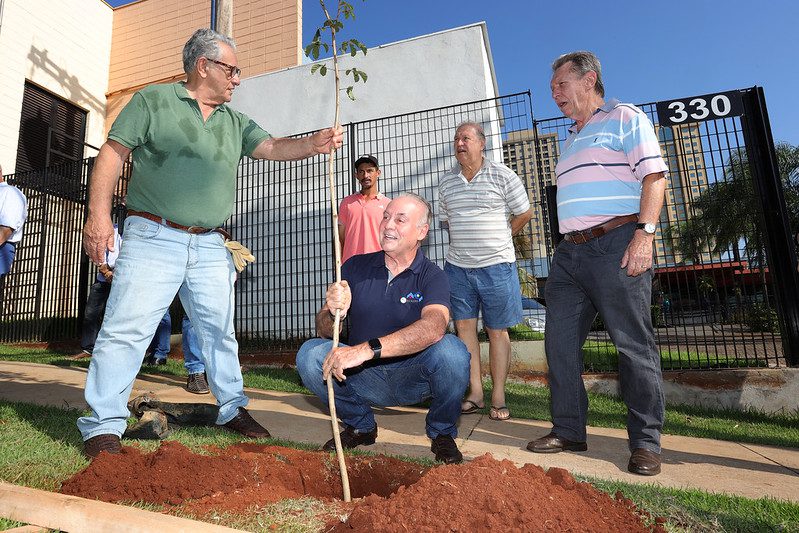 Projeto Ribeirão Floresta promove plantio sustentável 