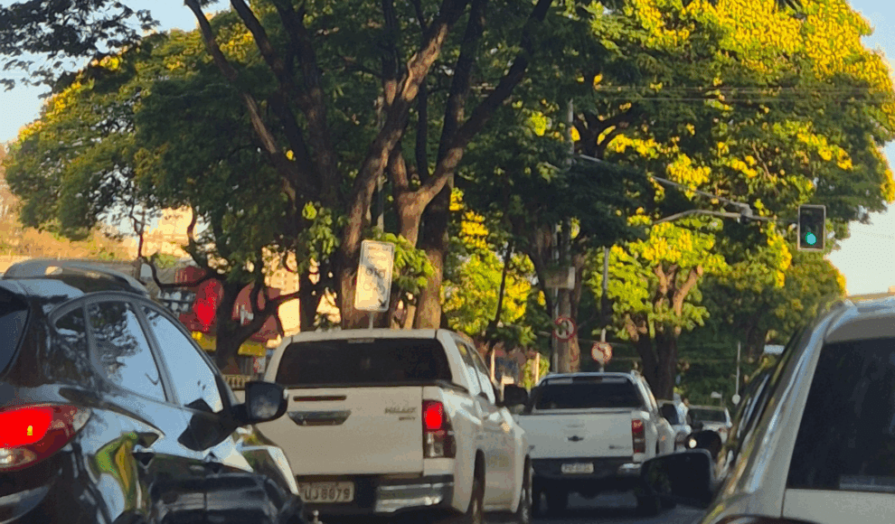 Encontro na AEAARP aborda identificação de árvores urbanas e sustentabilidade